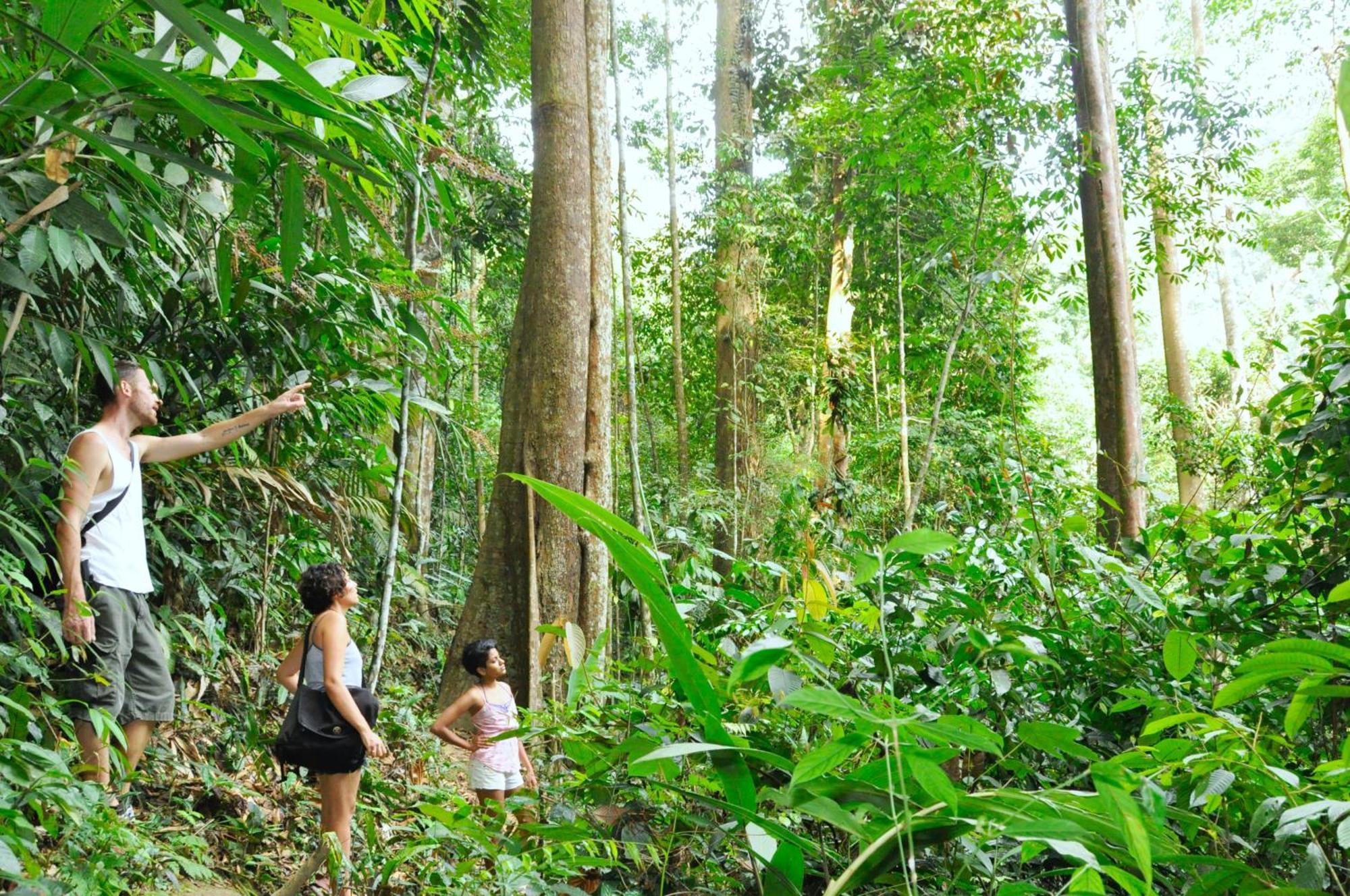 Вилла The Dusun Серембан  Экстерьер фото